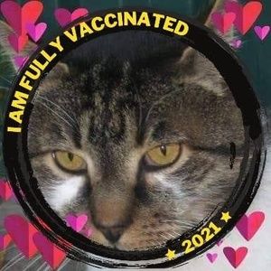 Meet your Posher, Ildiko